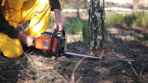 Best Lawn Drainage Solutions  in Barstow, CA