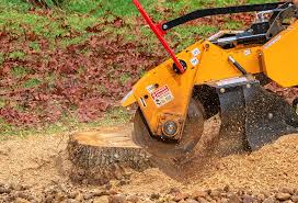 Lawn Watering Services in Barstow, CA