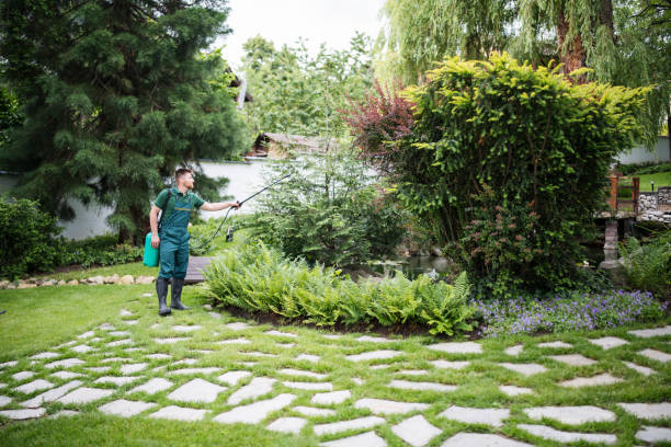 Trusted Barstow, CA Tree Services Experts